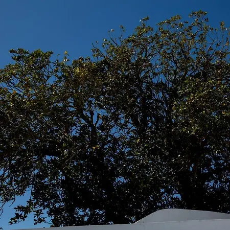 Appartement Azores Horta T0 Horta (Azores)