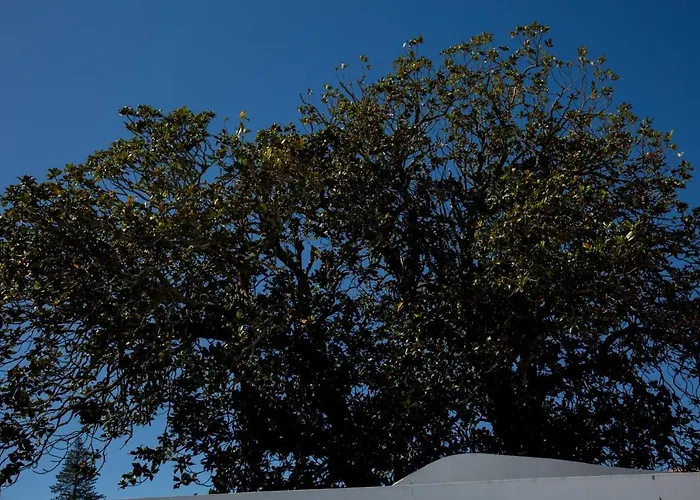 Apartment Azores Horta T0 Horta (Azores)